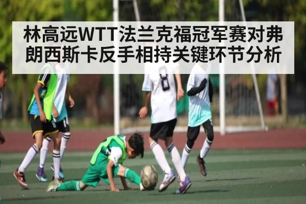 林高远WTT法兰克福冠军赛对弗朗西斯卡反手相持关键环节分析